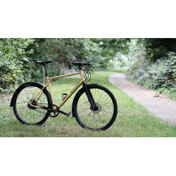 FBGrave: Rohloff/R/Schijfrem